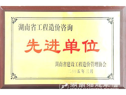 04年湖南省工程造价咨询先进单位
