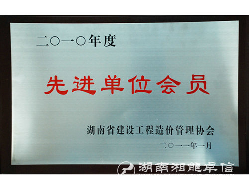 2010年度先进单位会员（工程）