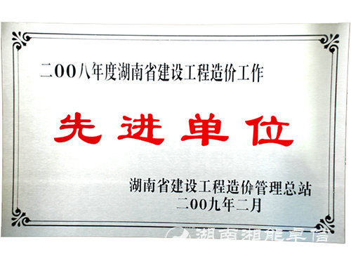 2008年工程先进单位证