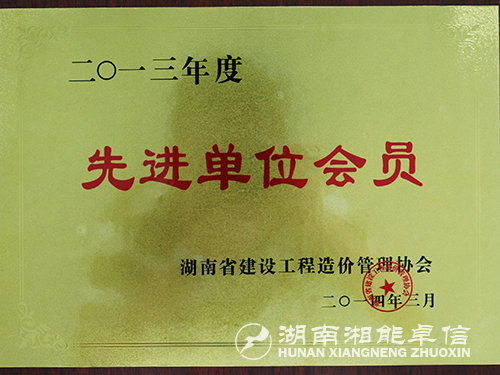 工程造价2013先进单位